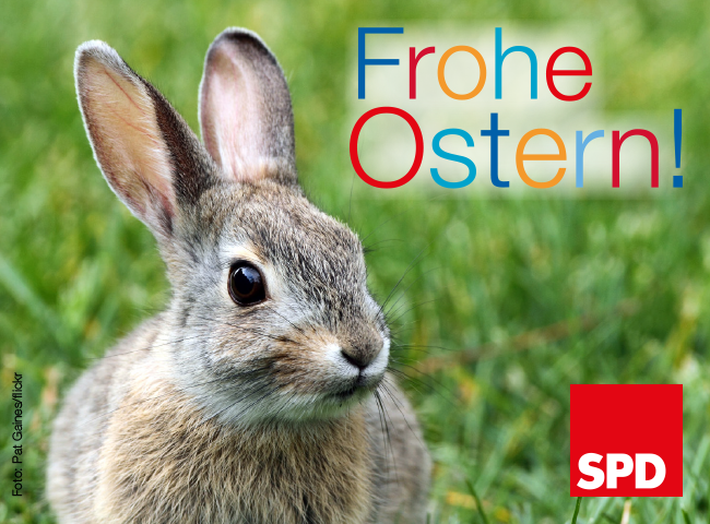 Ostergrüße Video Kostenlos Runterladen 2021 Ostergrüße Video Kostenlos Runterladen 2021